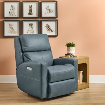 Flexsteel | Catalina Leather Power Recliner with Power Headrest