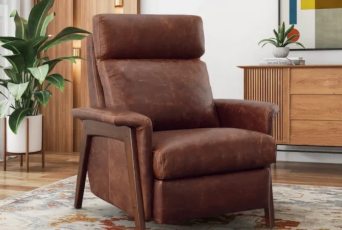 Omnia Leather Chairs and Ottomans