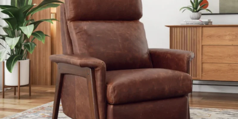 Omnia Leather Chairs and Ottomans